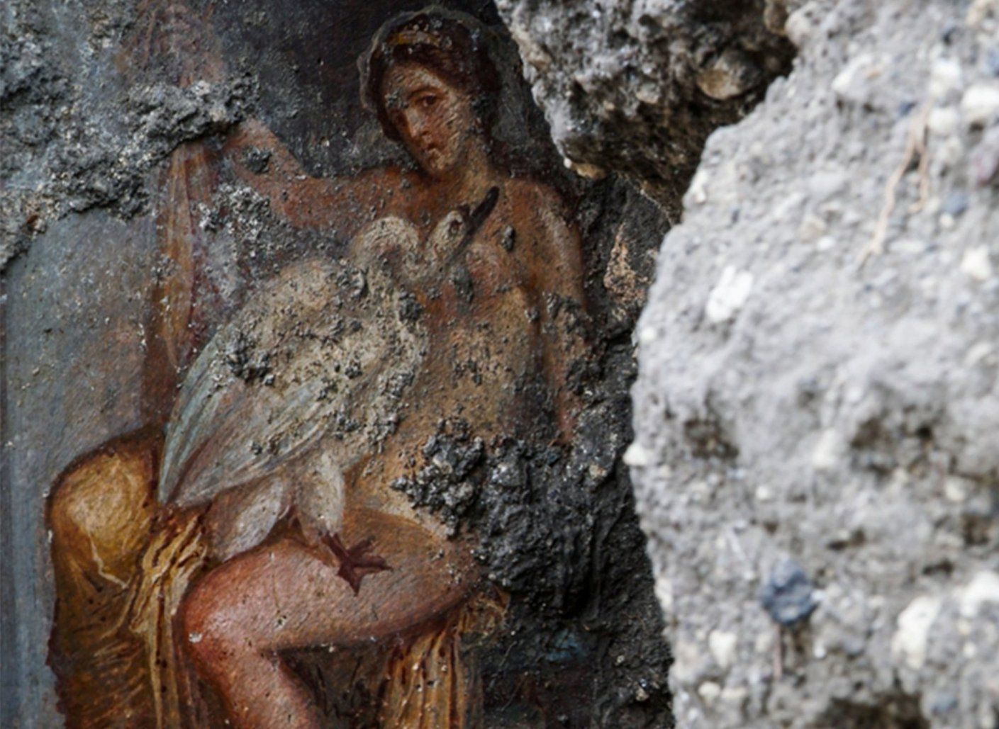 Фреска изображающая Леду и Лебедя найденая в Помпеях 25 ноября 2019 года.